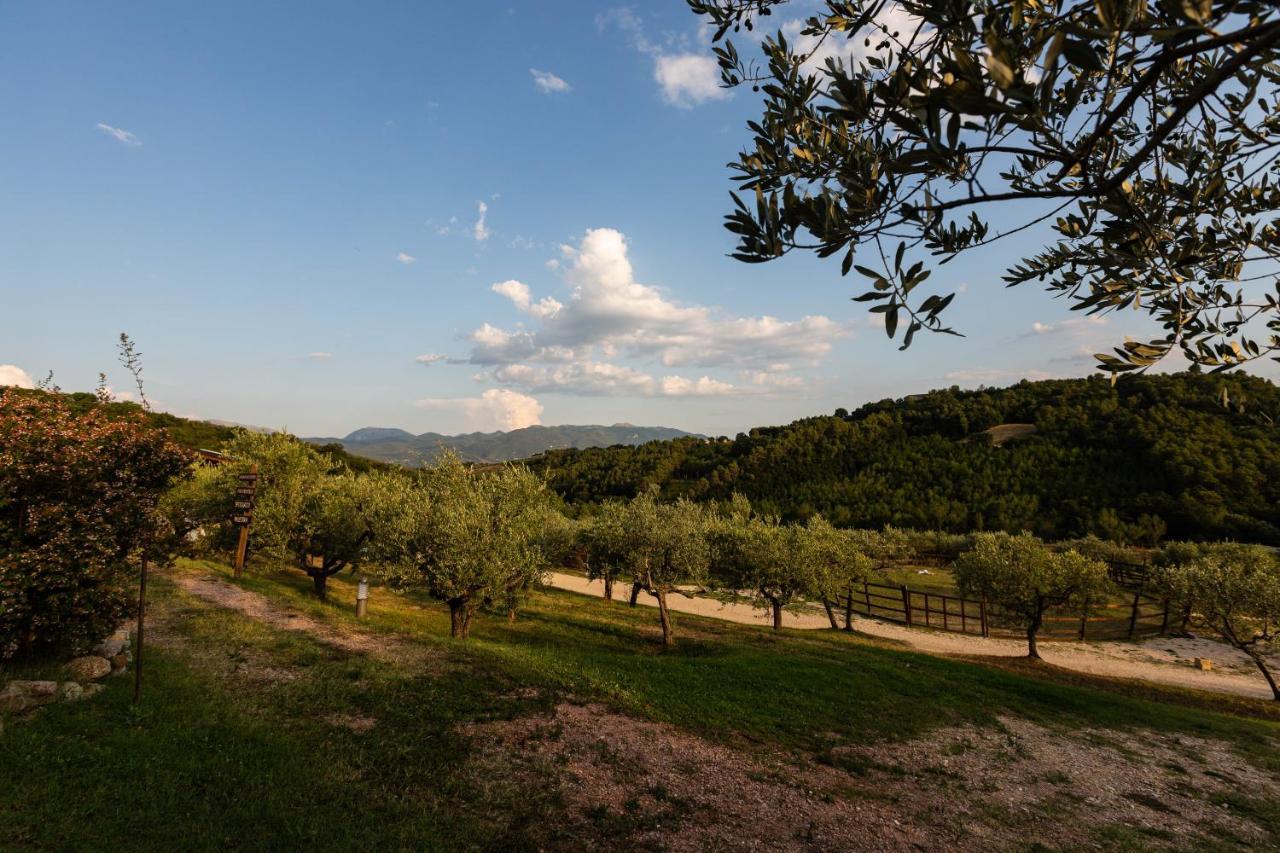 Agriturismo Agrileisuretime Spoleto Kültér fotó