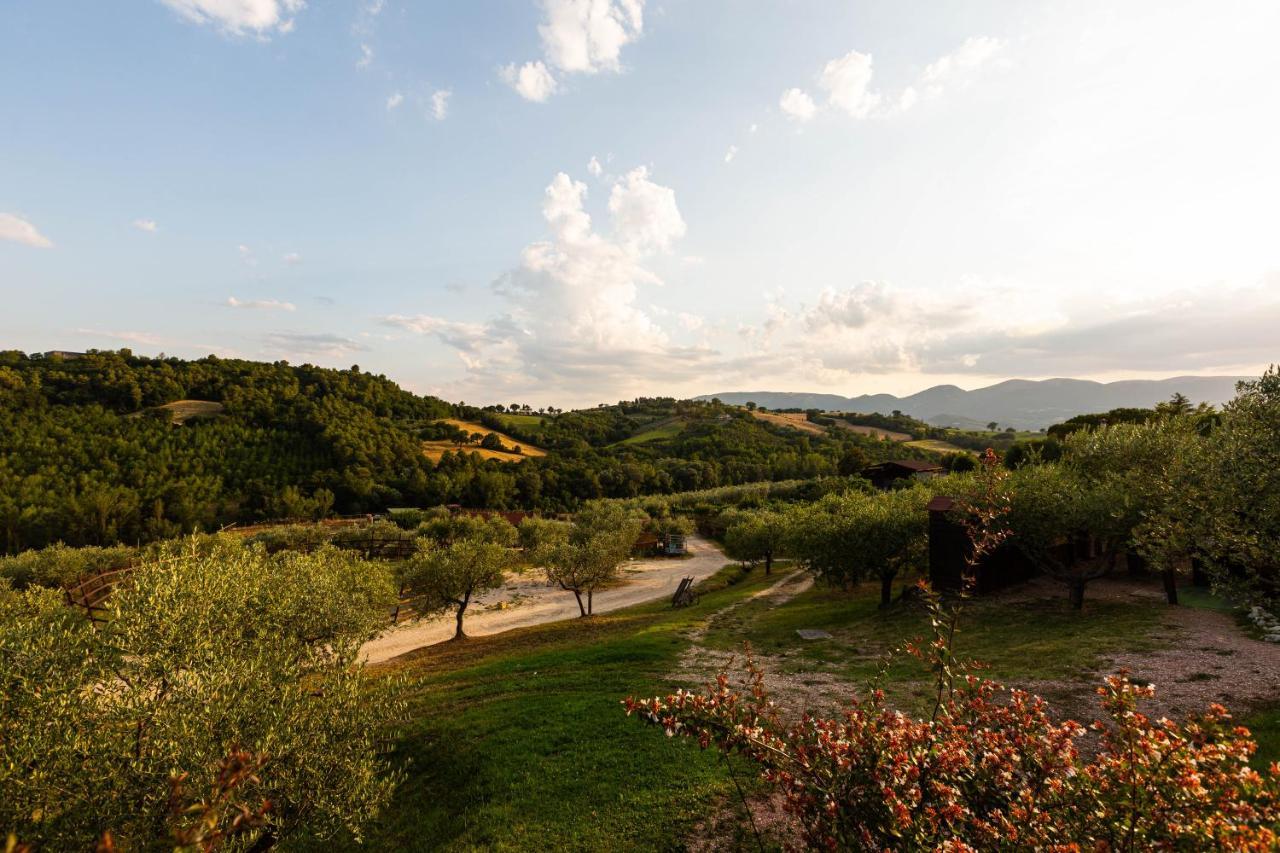 Agriturismo Agrileisuretime Spoleto Kültér fotó